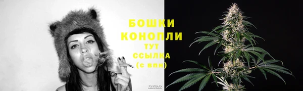 ПСИЛОЦИБИНОВЫЕ ГРИБЫ Тихвин