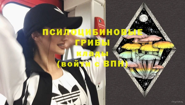 гидропоника Гусь-Хрустальный