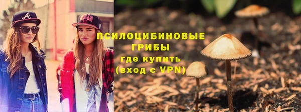 a pvp Гусиноозёрск