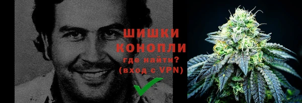 гидропоника Гусь-Хрустальный